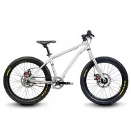 Early Rider Belter 20" Trail